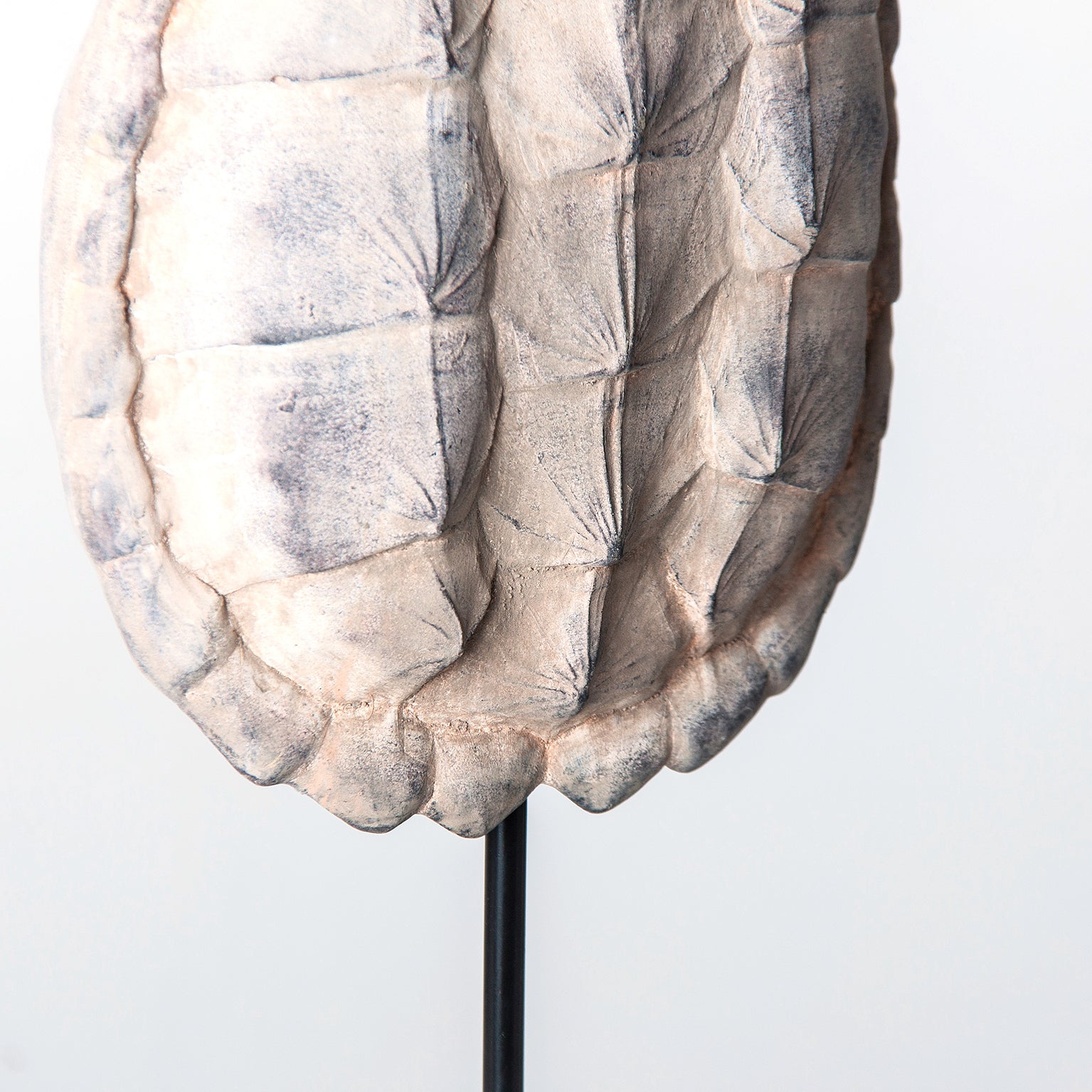 CAPARAZÓN TORTUGA DECORATIVE FIGURE